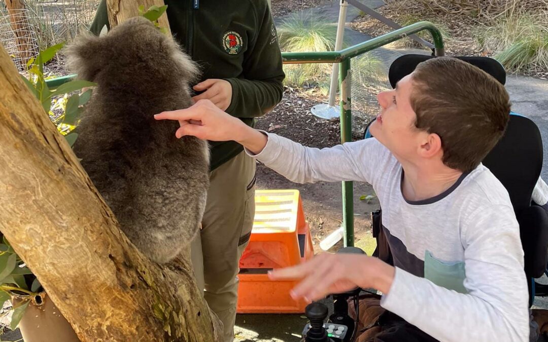 Ayden’s koala-ty day out