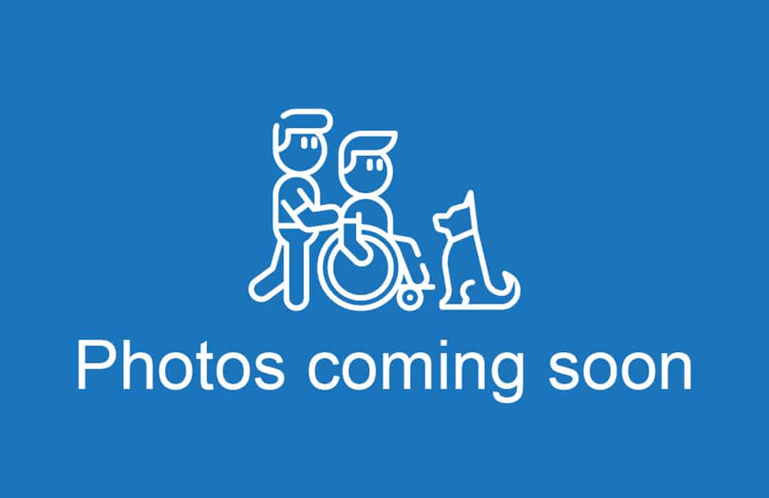 Slide Image