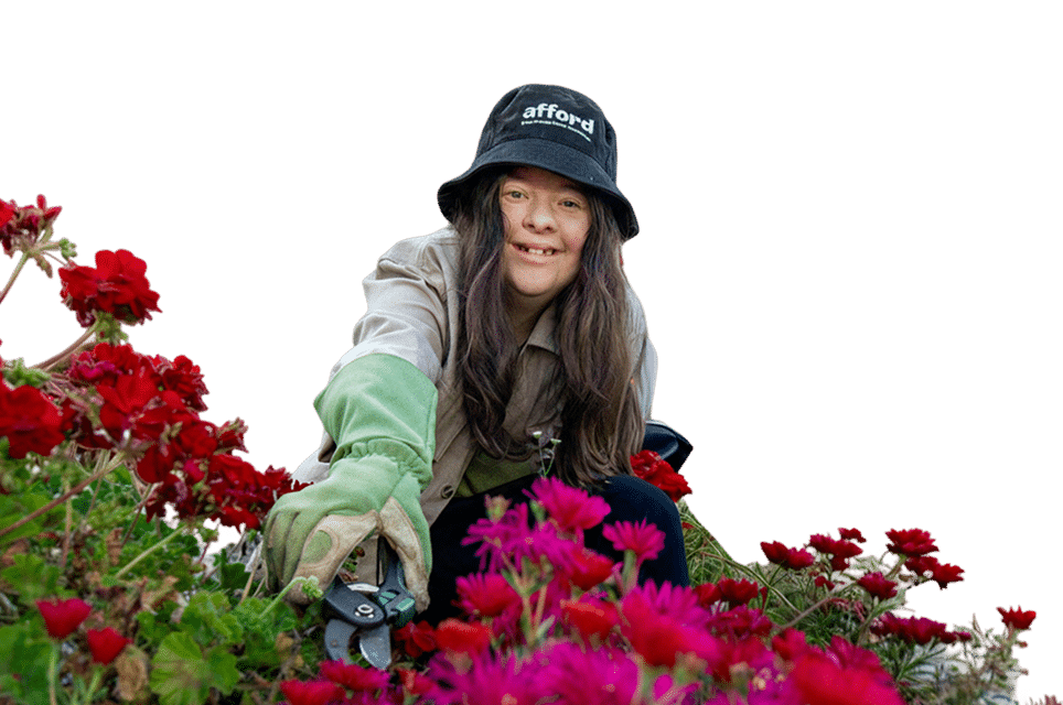 supported_independent